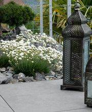 Niesen Gärten GmbH Bild 3