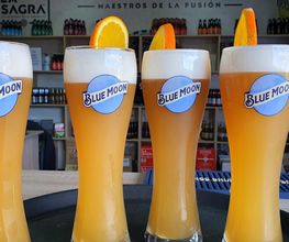BEERS&BEERS ALICANTE imagen 8