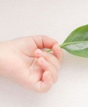 Pharmacie de la Marine image 4