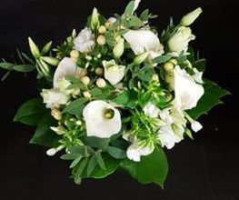 Oesch Fleurs & Jardins SA Bild 13
