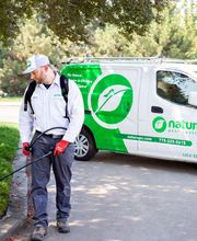 Natura Pest Control image 7