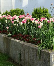 Grün Schaffhausen Bild 6