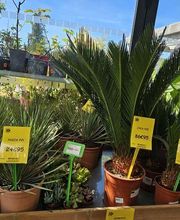 Point Vert Valcadis image 19