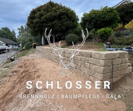 Schlosser Brennholz|Baumpflege|GaLa Bild 3