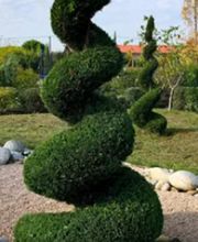 Mike Espaces Verts image 4