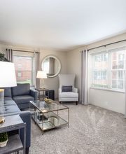 Rugby Square Apartments image 10