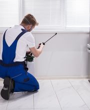 TRATAMIENTOS PLAGUINSA imagen 6