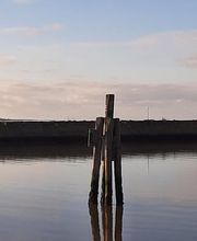 Weinstock´s Fewo-Service Bild 3