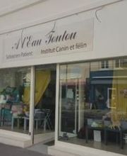 Institut Canin image 1