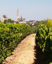 Domaine Des Deux Arcs image 4