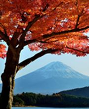 Poiroux Etienne image 3