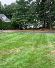 Brace Lawn Care image 15