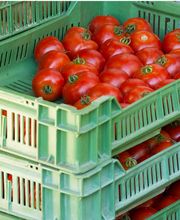 Biologische Landesprodukte - Biomeier in Full Bild 4