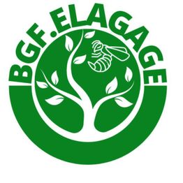 BGF Elagage