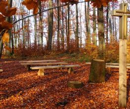 Am Andachtsplatz im FriedWald Wangen kann eine Trauerfeier unter freiem Himmel stattfinden.