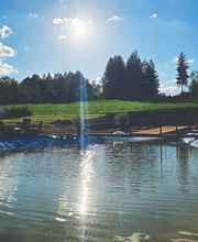 schwimmteich am abend.jpg