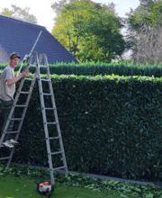 GartenVision Tobias Werner Bild 3