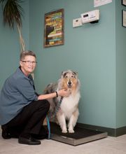 Animal Care Hospital of Morris Inc image 12