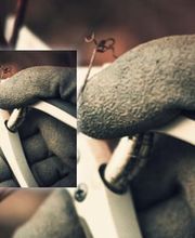 z'graggen gartenbau Bild 2