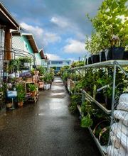 Centre Agro Courtelary Bild 4