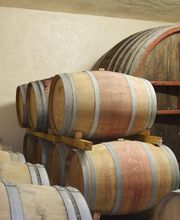 Domaine Martin image 5