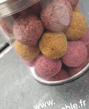 Chocolatier Meunier Norbert image 11
