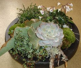 BlumenAmbiance GmbH Bild 7