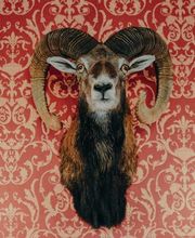 Schloss Sohland - Event-Location für Hochzeiten und Firmenevents Bild 5