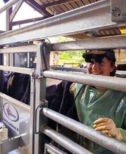 ClinicVet Vétérinaire Foucarmont image 6