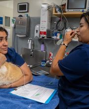 Santa Monica Pet Medical Center image 9