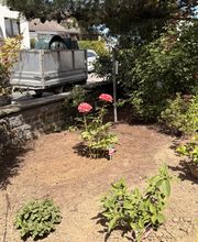 IMG_9442.jpeg