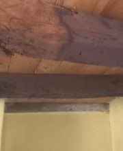 Décapage 46 image 8