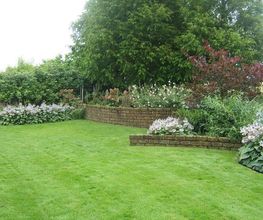 Gärtner Basel & Baselland