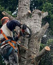 Agence Yellow image 1