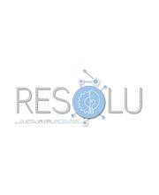 Resolu image 2