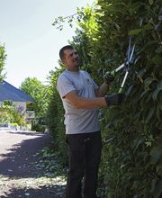 Daniel Moquet signe vos jardins - Ent. George image 5