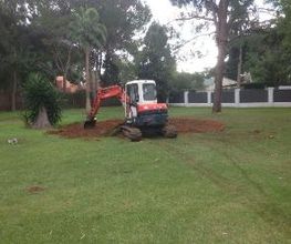 Interjardín imagen 15