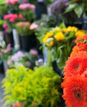 Blumenstäuße