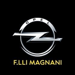 Concessionaria   F.lli Magnani logo