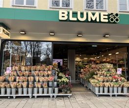 BLUME2000 Rosenheim Bild 1