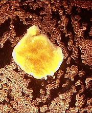 Heilzentrum Scheller Bild 5