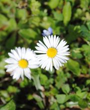 Naturheilpraxis Schwörer Bild 3