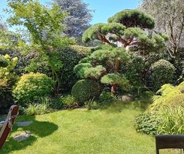 AV Jardin Bild 4
