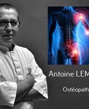 Lemonnier Antoine image 1