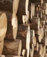 Homanit GmbH & Co. KG Holzwerkstoffe Bild 3