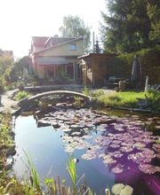 Ralf Krickow Garten- & Landschaftsbau Bild 1