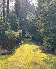 Bestattungsinstitut Bensch - Potsdam Bild 8