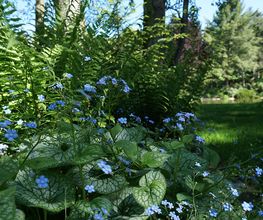 Gerd Heimrich Garten-Center Bild 8
