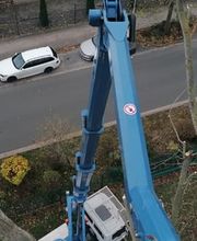 Baumflüsterer Hoffmann Bild 7