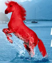 Tipografia Cavalli Bild 3